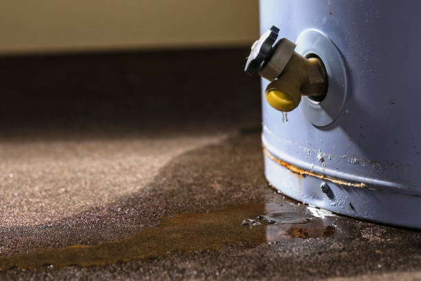 Best Emergency water damage restoration  in Romancoke, MD