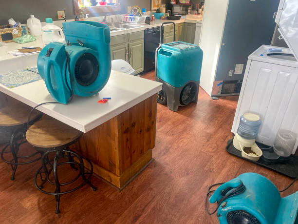 Best Residential water damage restoration  in Romancoke, MD