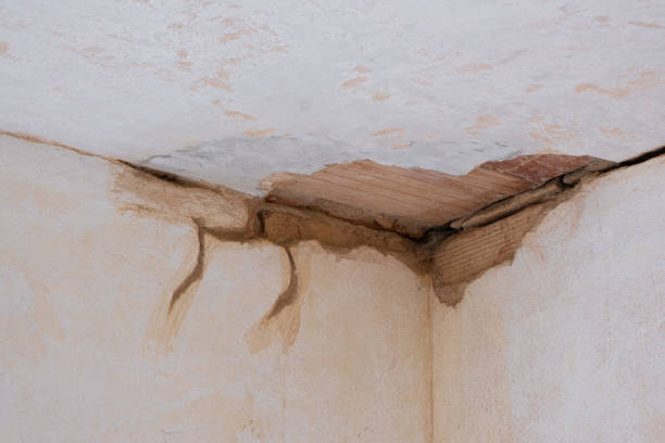 Best Carpet water damage restoration  in Romancoke, MD