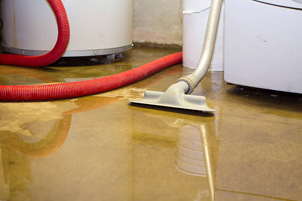  Romancoke, MD Water damage restoration Pros