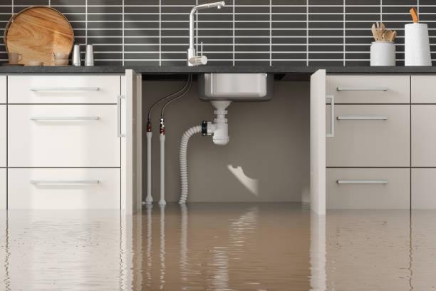 Best Water damage restoration company  in Romancoke, MD